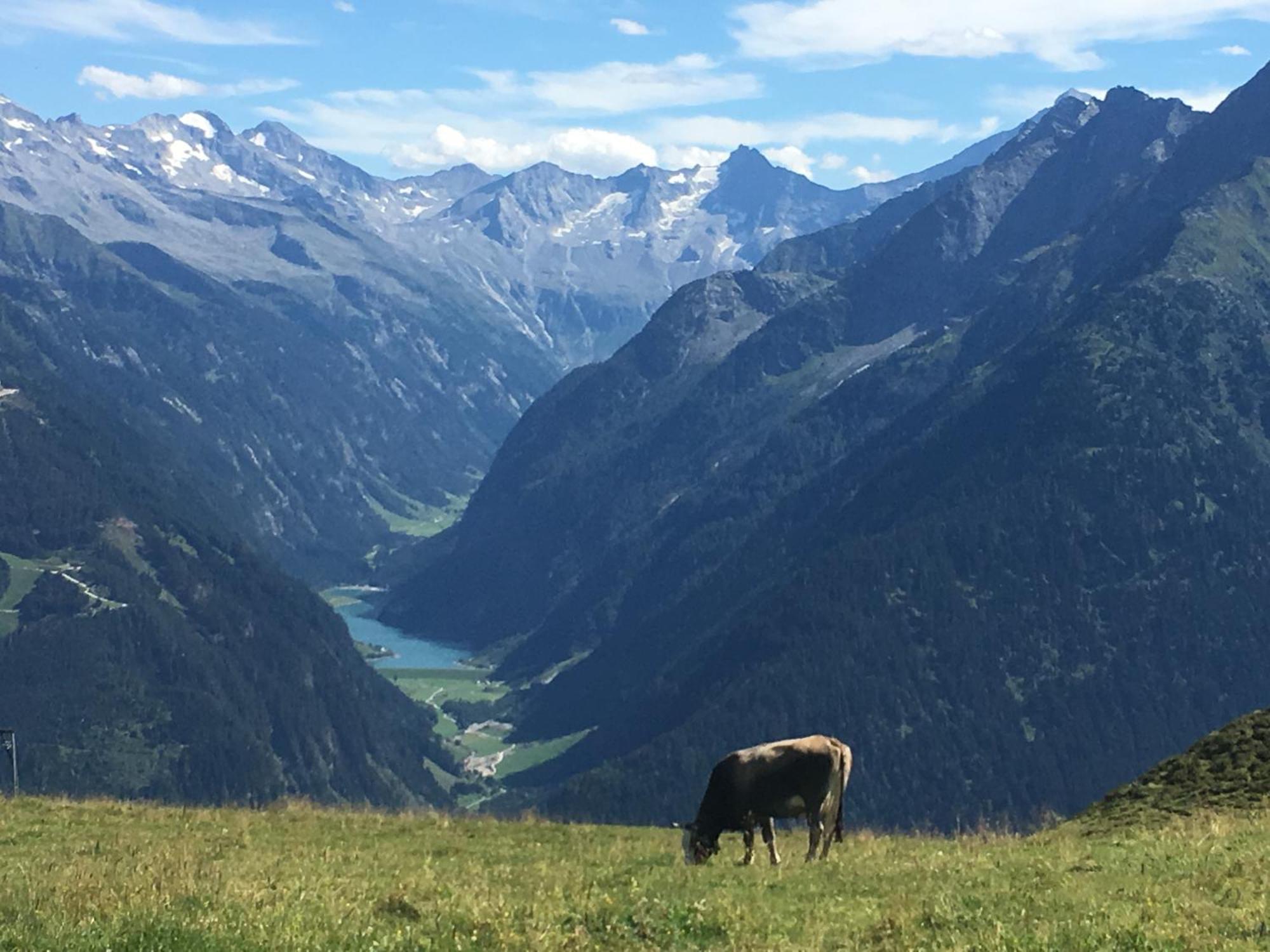 Landhaus Katharina Bis 12 Personen Mit Saunachalet Und Blick Auf Die Bergwelt Des Zillertals Хиппах Экстерьер фото
